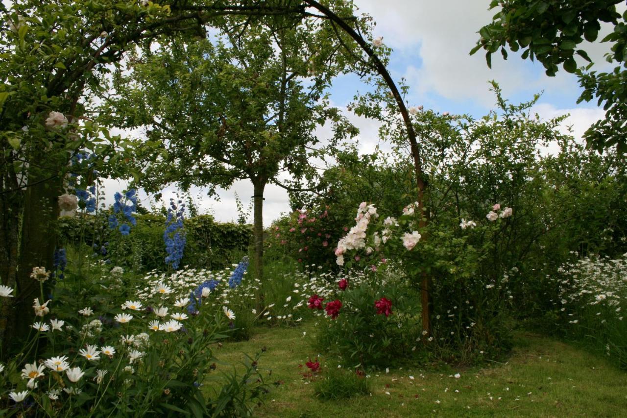 B&B Eenvoud In Overvloed Vleteren ภายนอก รูปภาพ